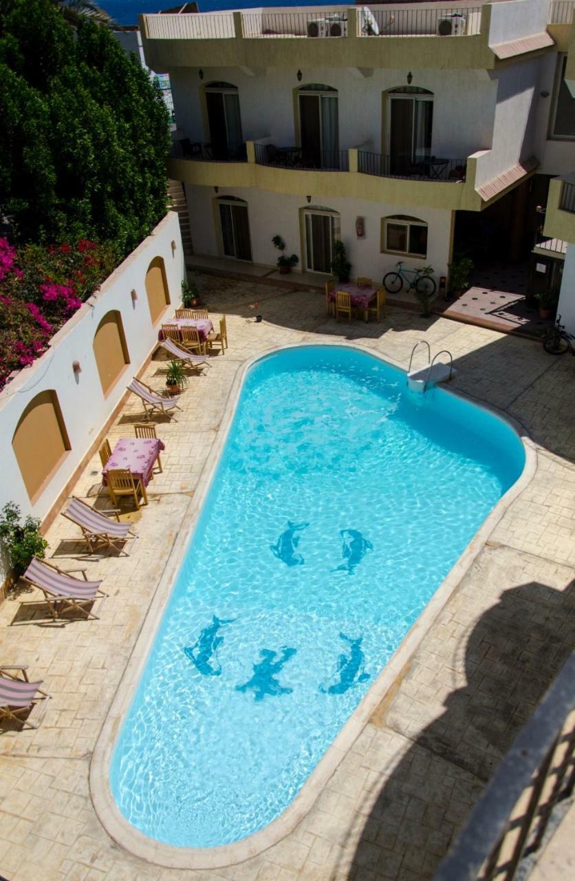New Yalla Hotel Dahab Exterior foto